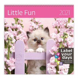Kalendář 2021 nástěnný: Little Fun, 300x300