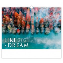 Kalendář 2021 nástěnný Exclusive: Like a Dream, 485x340