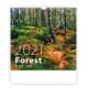Kalendář 2021 nástěnný: Forest/Wald/Les, 340x325