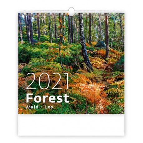 Kalendář 2021 nástěnný: Forest/Wald/Les, 340x325