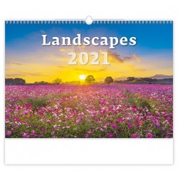 Kalendář 2021 nástěnný: Landscapes, 450x315