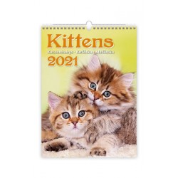 Kalendář 2021 nástěnný: Kittens/Katzenbabys/Koťátka/Mačičky, 240x330