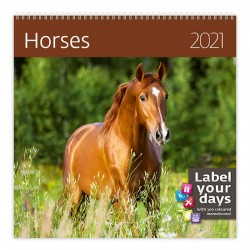 Kalendář 2021 nástěnný: Horses, 300x300