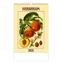 Kalendář 2021 nástěnný: Herbarium, 315x450