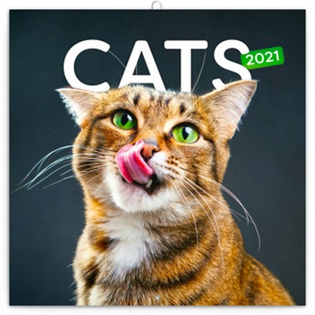 Kalendář 2021 poznámkový: Kočky, 30 × 30 cm