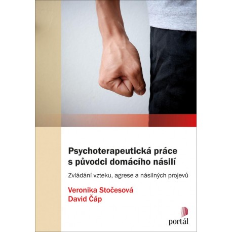 Psychoterapeutická práce s původci domácího násilí - Zvládání vzteku, agrese a násilných projevů
