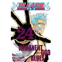 Bleach 24: Immanent God blues