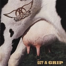 Aerosmith: Get A Grip - 2 LP