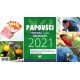 Kalendář 2021 Papoušci - týdenní stolní
