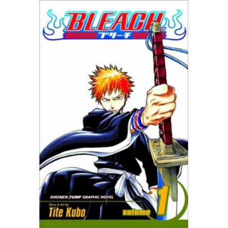 Bleach 1: The Death and the Strawberry