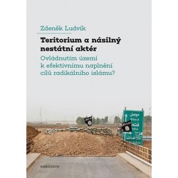 Teritorium a násilný nestátní aktér - Ovládnutím území k efektivnímu naplnění cílů radikálního islámu?