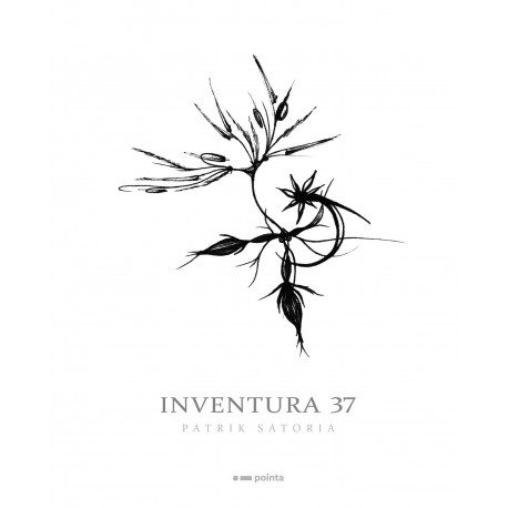 Inventura 37