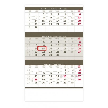 Kalendář nástěnný 2022 - Tříměsíční šedý