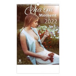 Kalendář nástěnný 2022 - Charm of the Moment