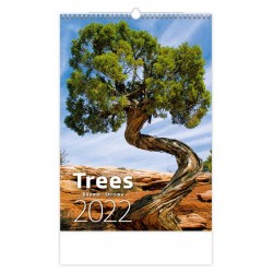 Kalendář nástěnný 2022 - Trees/Bäume/Stromy
