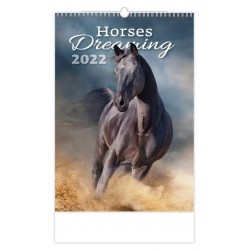 Kalendář nástěnný 2022 - Horses Dreaming