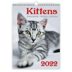 Kalendář nástěnný 2022 - Kittens/Katzenbabys/Koťátka/Mačičky