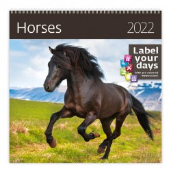 Kalendář nástěnný 2022 - Horses