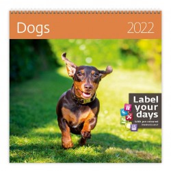 Kalendář nástěnný 2022 - Dogs