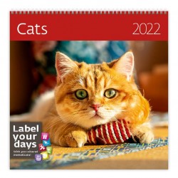 Kalendář nástěnný 2022 - Cats