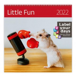 Kalendář nástěnný 2022 - Little Fun