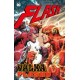 Flash 8 - Válka Flashů