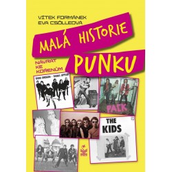 Malá historie punku - návrat ke kořenům