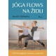 Jóga flows na židli - Účinné jógové sestavy a pozice
