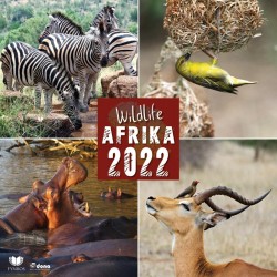 Kalendář 2022 - Wildlife Afrika/nástěnný