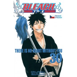 Bleach 30: There is no heart without you