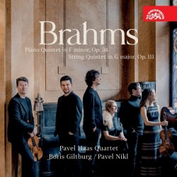 Brahms: Kvintety - CD