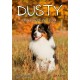 Dusty: Kamarádi navždy