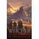 The Witcher: Blood of Elves