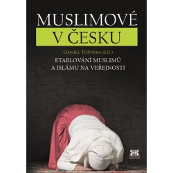 Muslimové v Česku - Etablování muslimů a islámu na veřejnosti