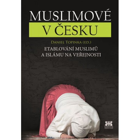 Muslimové v Česku - Etablování muslimů a islámu na veřejnosti